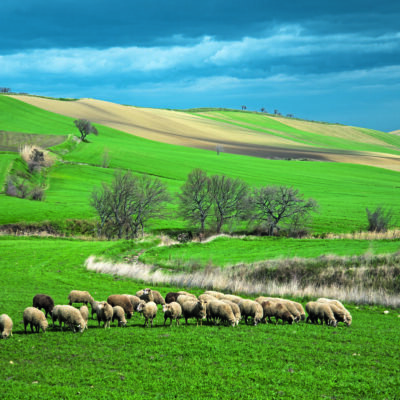 paesaggio della Daunia in Puglia