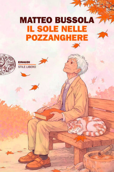 Copertina del libro Il sole nelle pozzanghere di Matteo Bussola